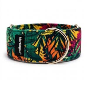 Collar Antiescape Hecho a Mano para Galgos y Podencos – Tropical Flow