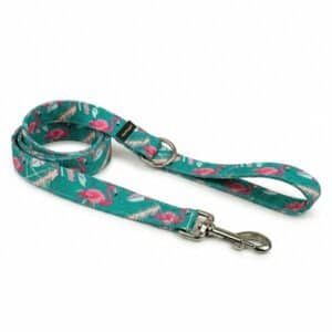 Correa Artesanal para Galgos y Podencos – Flamenco Playero