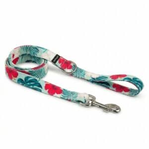 Correa martingale Flores y Surf a juego con collar para galgo y podenco