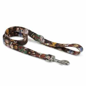 Correa martingale Galaxia a juego con collar para galgo y podenco