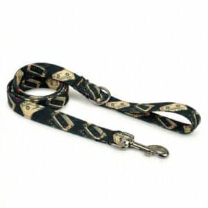 Correa martingale Rock Star a juego con collar para galgo y podenco