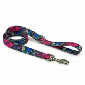 Correa martingale Rebel a juego con collar para galgo y podenco