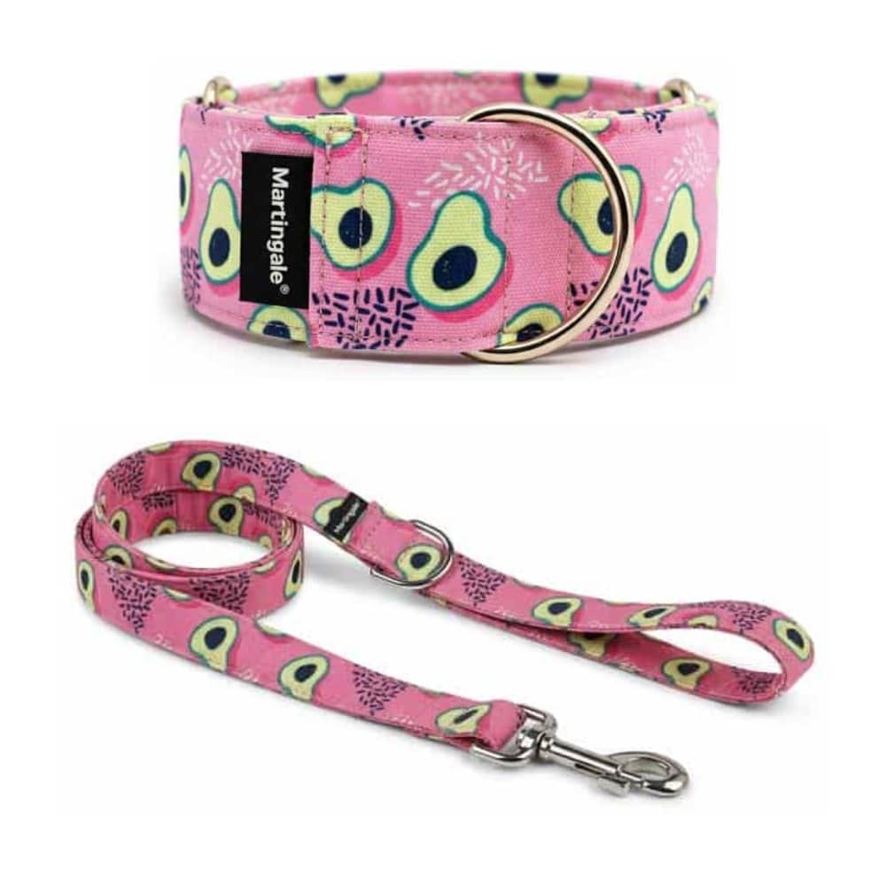 Pack collar martingale y correa a juego Aguacate Rosa para galgos y podencos