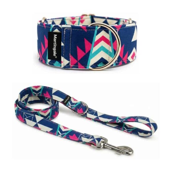 Pack collar martingale y correa a juego Alegría Étnica