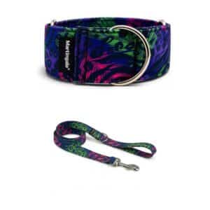 Pack Collar Martingale + Correa a juego – Animal Neón