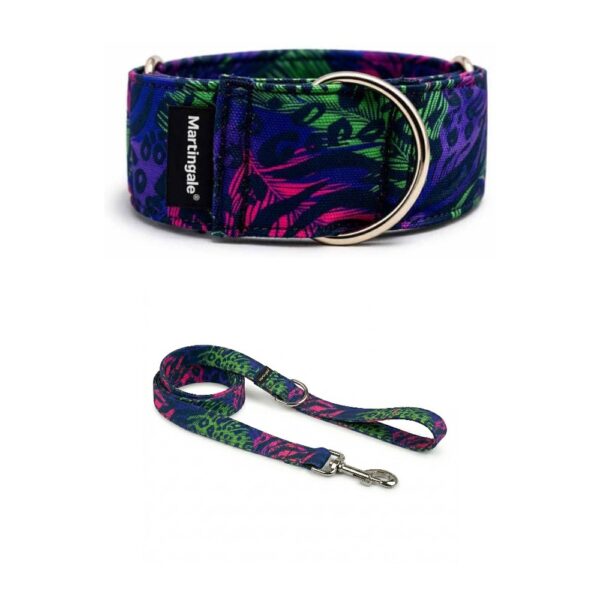 Pack collar martingale y correa a juego Animal Neón