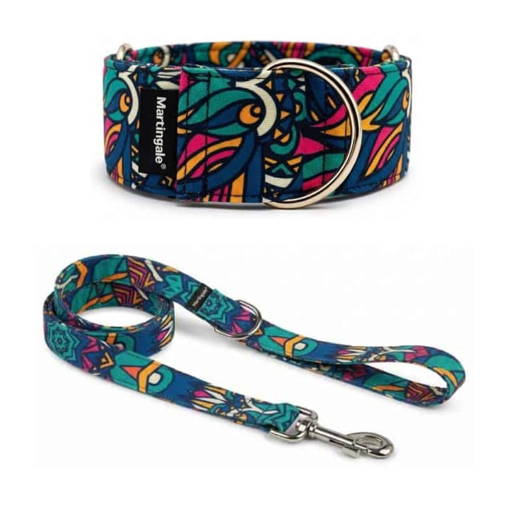 Pack collar martingale y correa a juego Dragón Azteca para galgos y podencos