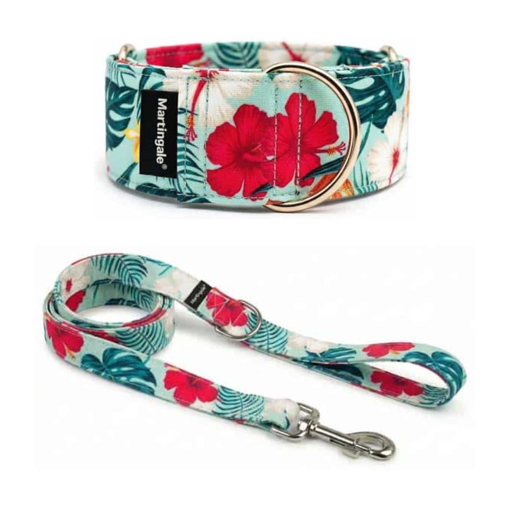 Pack collar martingale y correa a juego Flores y Surf para galgos y podencos