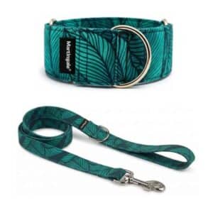 Pack Collar Martingale + Correa a juego – Hojas Ilustradas