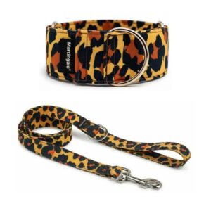 Pack Collar Martingale + Correa a juego – Leopardo