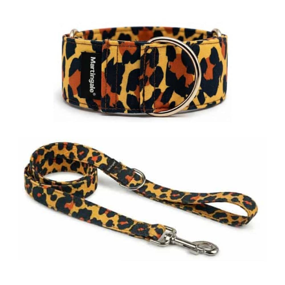 Pack collar y correa a juego Leopardo
