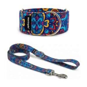 Pack Collar Martingale + Correa a juego – Luz Mandala