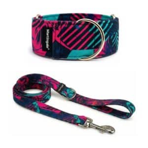 Pack Collar Martingale + Correa a juego – Miami Retro