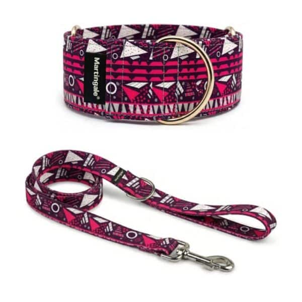 Pack collar martingale y correa a juego Pulso Urbano