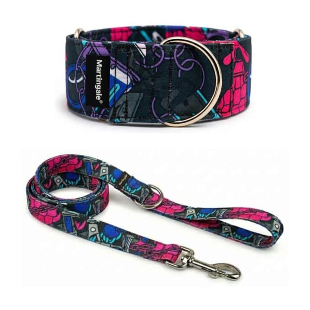 Pack collar martingale y correa a juego Rebel para galgos y podencos