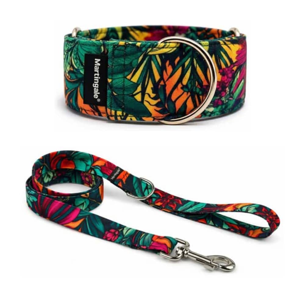 Pack collar y correa a juego Tropical Flow