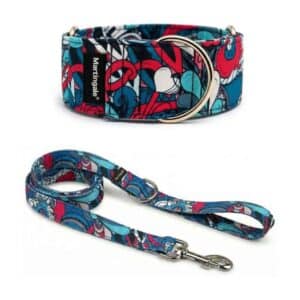Pack Collar Martingale + Correa a juego – True Love