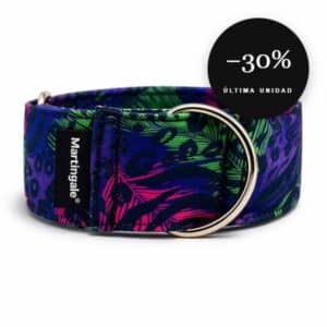 Collar martingale antiescape Animal Neón para galgo en oferta al 30% de descuento, última unidad