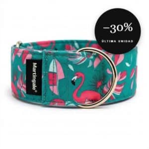 Collar martingale antiescape Flamenco Playero para galgo en oferta al 30% de descuento, última unidad