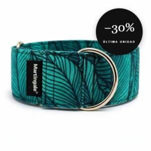 Collar martingale antiescape Hojas Ilustradas para galgo en oferta al 30% de descuento, última unidad