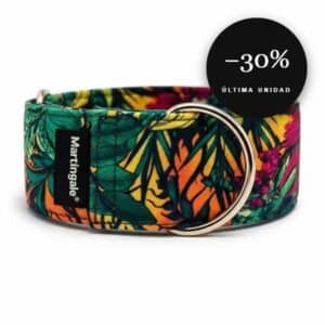 Collar martingale antiescape Tropical Flow para galgo en oferta al 30% de descuento, última unidad