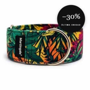 Collar martingale antiescape Tropical Flow para galgo en oferta al 30% de descuento, última unidad