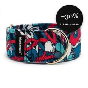 Collar martingale antiescape True Love para galgo en oferta al 30% de descuento, última unidad